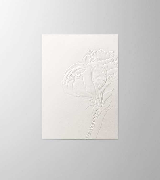 Hieronymus Greetingcards Greeting Card Amaryllis Cotton White Cream A000532 A5