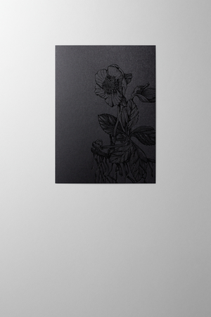 Hieronymus Christmas Greetingcards Greeting Card Christmas Rose Black Silver A003122 A5