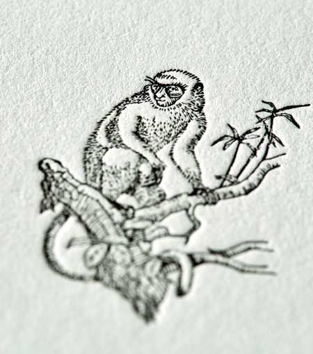 Hieronymus letterheads letterhead monkey a4 white green 50 sheets a000157 detail1