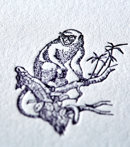 Hieronymus writing cards writing card monkey a5 set white blue 12 pcs a000206 detail1