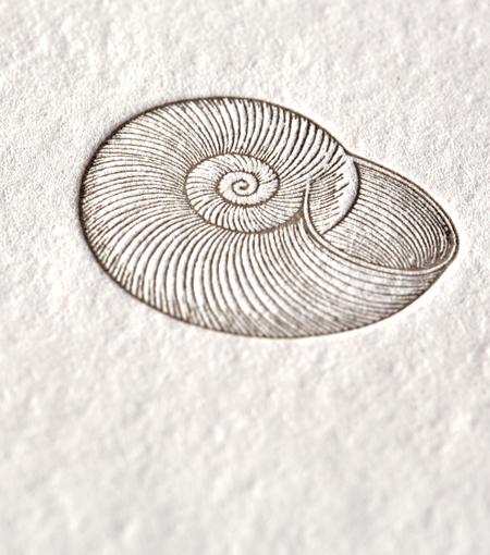 Hieronymus writing cards writing card snail a5 set white cream 12 pcs a000211 detail1