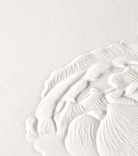 Hieronymus greetingcards greeting card amaryllis cotton white cream a005476 detail1