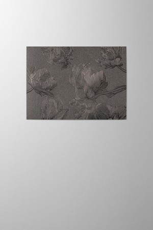 Hieronymus Greetingcards Greeting Card Tulipa Graphite Black A005860