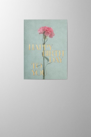 Hieronymus Birthday Greetingcards Greeting Card Daniel Bolliger Birthday A005863