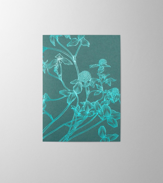 Hieronymus Greetingcards Greeting Card Trifolium Pratense Petrol A005869