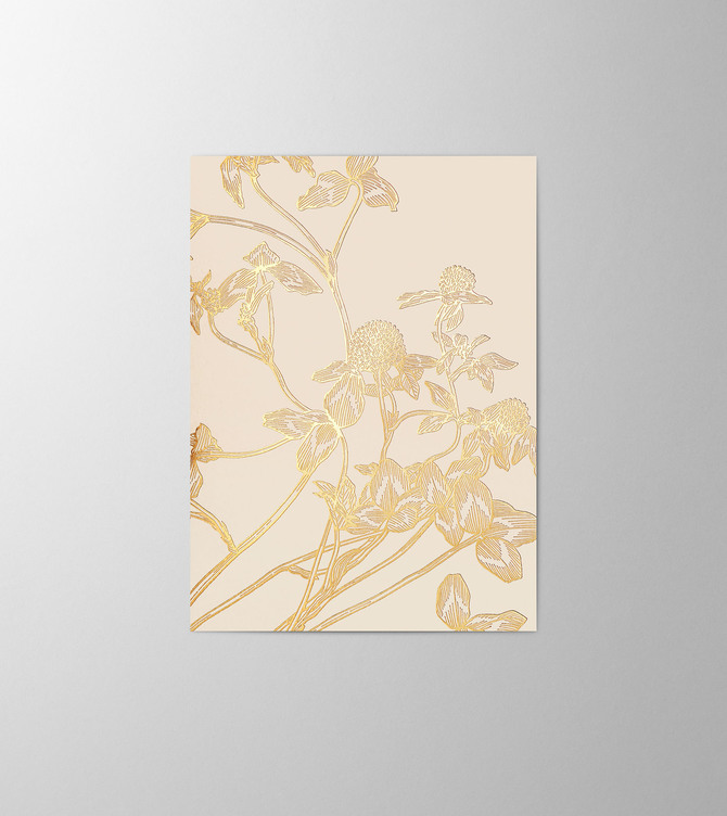 Hieronymus Greetingcards Greeting Card Trifolium Pratense Biscuit A005867