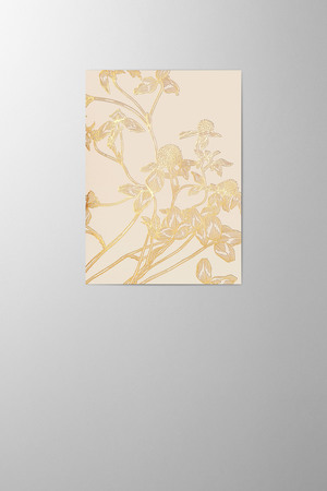 Hieronymus Greetingcards Greeting Card Trifolium Pratense Biscuit A005867
