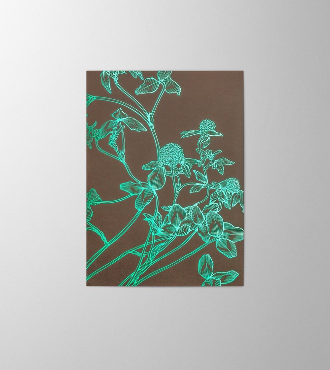 Hieronymus Greetingcards Greeting Card Trifolium Pratense Brown A005868