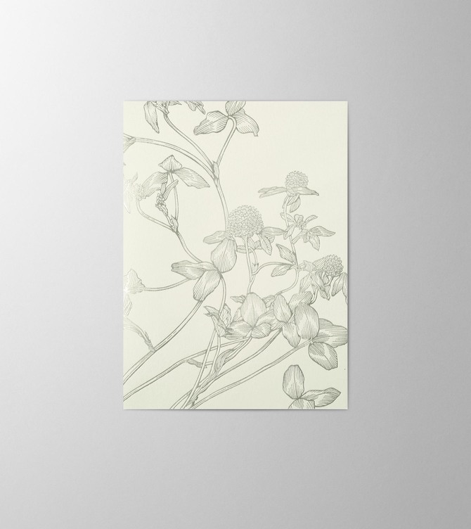 Hieronymus Greetingcards Greeting Card Trifolium Pratense White Green A005870