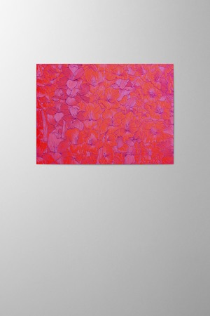 Hieronymus Greetingcards Greeting Card Gladiolus Glowing Red A005873