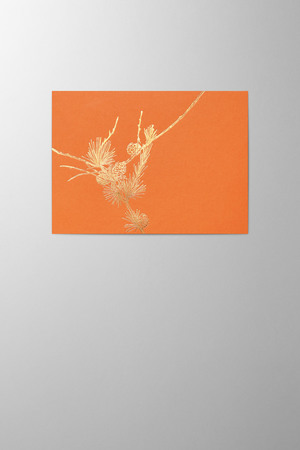 Hieronymus Greetingcards Christmas Greeting Card Larix Indian Summer A005878