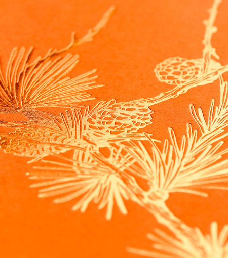 Greeting Card