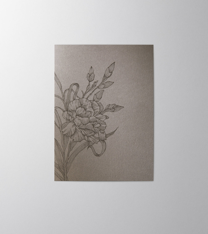 Hieronymus Condolence Greeting Card Carnation Shadow A004548 A5