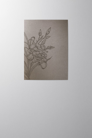 Hieronymus Condolence Greeting Card Carnation Shadow A004548 A5