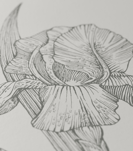 Greeting Card