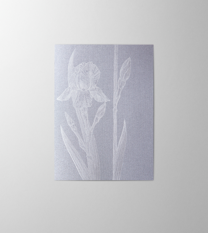 Hieronymus Condolence Greeting Card Iris Dark Silver A004551 A5