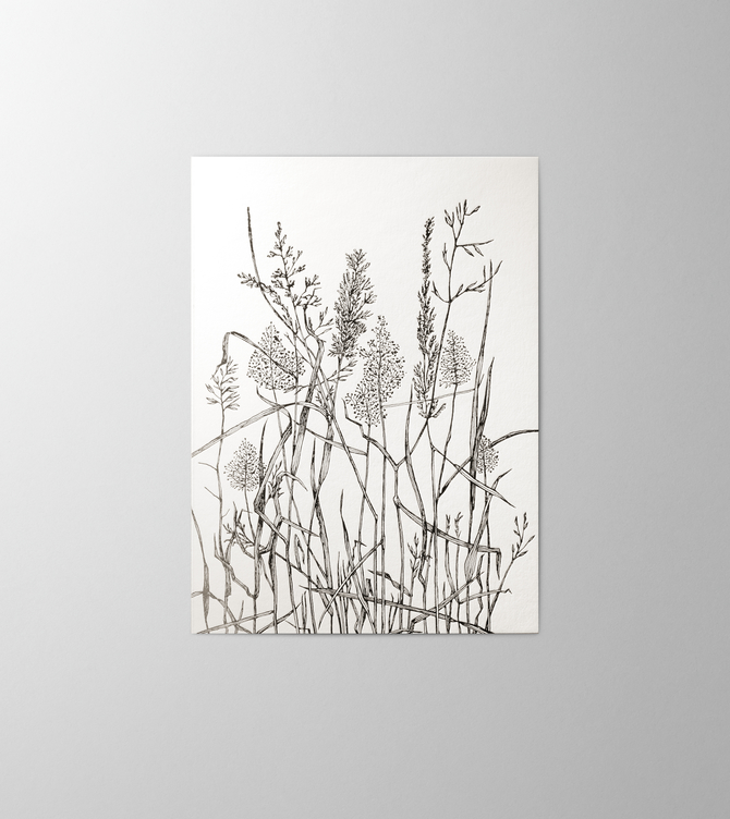 Hieronymus Condolence Greetingcards Greeting Card Leafs of Grass Black and White A004552 A5