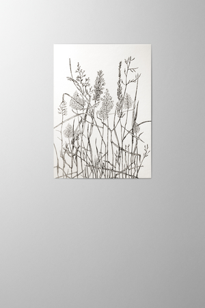 Hieronymus Condolence Greetingcards Greeting Card Leafs of Grass Black and White A004552 A5