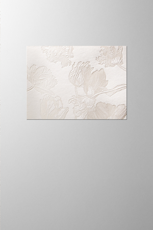 Hieronymus Greetingcards Greeting Card Tulipa White Cream A005487 A005487 A.jpg