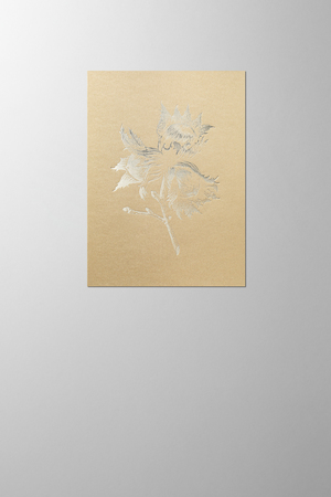 Hieronymus Christmas Greetingcards Greeting Card Hazelnut Sand Gold A005517 A005517 A.jpg