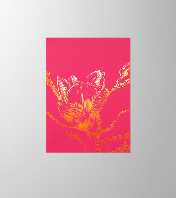 Hieronymus Greetingcards Greeting Card Magnolia Pink A005568 A005568 A.jpg