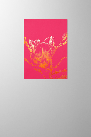 Hieronymus Greetingcards Greeting Card Magnolia Pink A005568 A005568 A.jpg