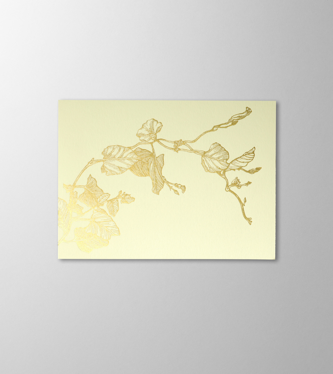 Hieronymus Greetingcards Greeting Card Liseron Light Green A005638 