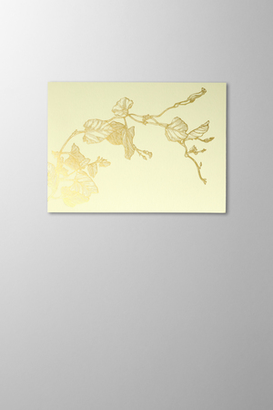 Hieronymus Greetingcards Greeting Card Liseron Light Green A005638 