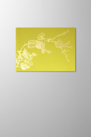 Hieronymus Greetingcards Greeting Card Liseron Lime A005639 
