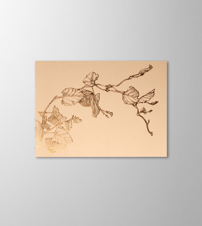 Hieronymus Greetingcards Greeting Card Liseron Sand A005641 