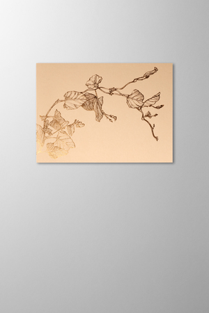 Hieronymus Greetingcards Greeting Card Liseron Sand A005641 