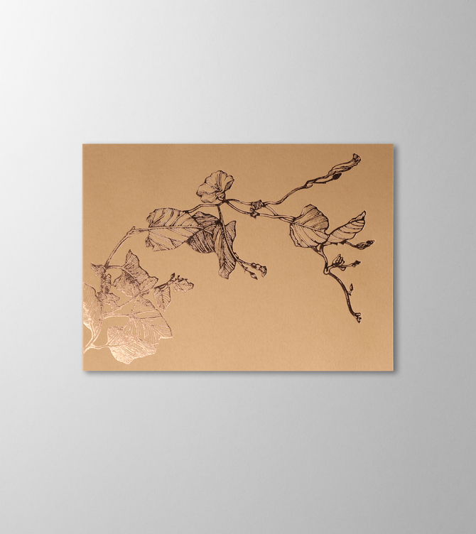 Hieronymus Greetingcards Greeting Card Liseron Marron A005642 
