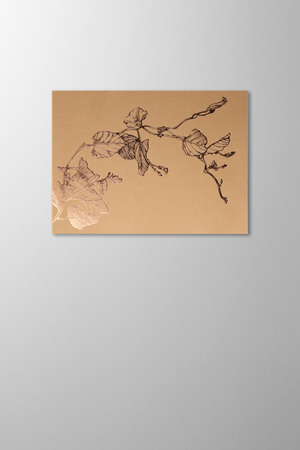 Hieronymus Greetingcards Greeting Card Liseron Marron A005642 
