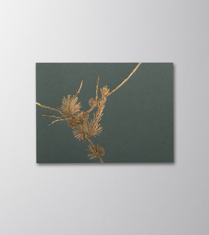 Hieronymus Greetingcards Christmas Greeting Card Larix Dark Green A005662 A005662 A.jpg