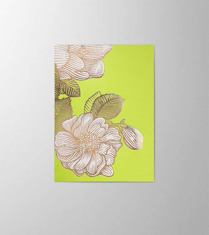 Hieronymus Mother's Day Birthday Greetingcards Greeting Card Wild Rose Lime A005684 A5