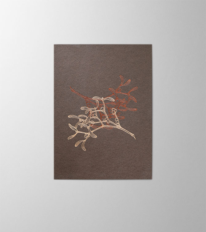 Hieronymus Christmas Greeting Card Twisted Mistletoes Chocolate A005688 A5