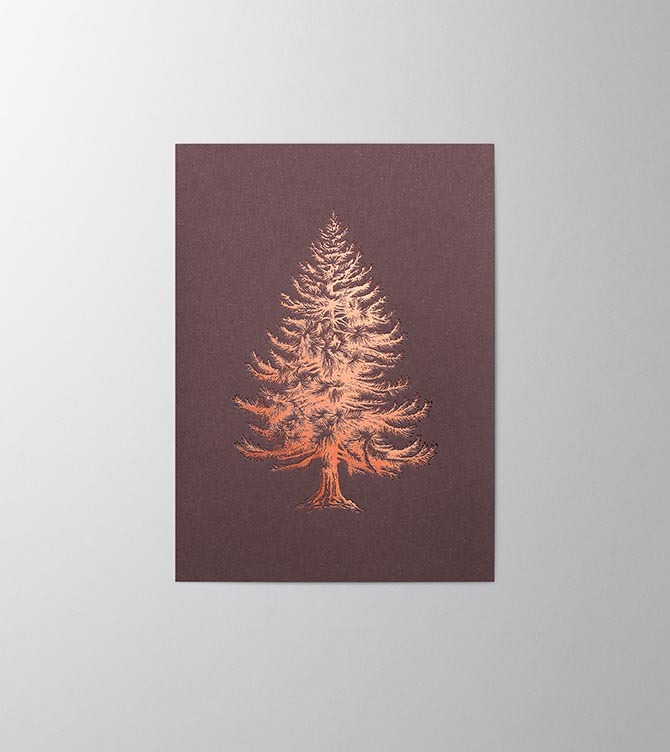 Hieronymus Christmas Greetingcards Greeting Card Nobilis Cotton Blackberry A005747 A5