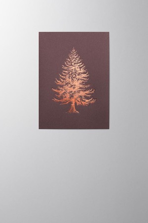 Hieronymus Christmas Greetingcards Greeting Card Nobilis Cotton Blackberry A005747 A5