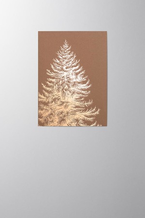 Hieronymus Christmas Greetingcards Greeting Card Nobilis Magnus Marron A005751 A5