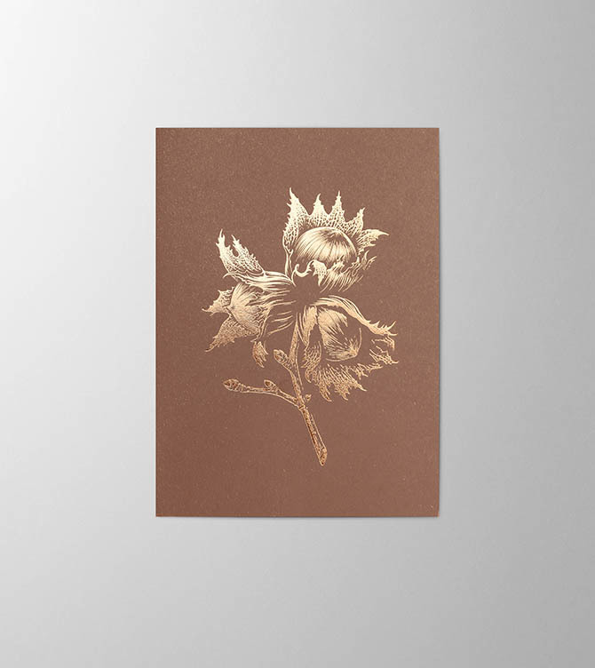 Hieronymus Greetingcards Christmas Greeting Card Hazelnut Marron A005752 A005752 A.jpg