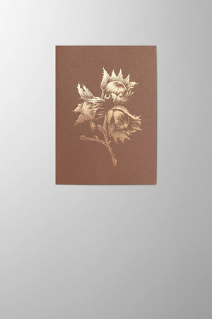 Hieronymus Greetingcards Christmas Greeting Card Hazelnut Marron A005752 A005752 A.jpg