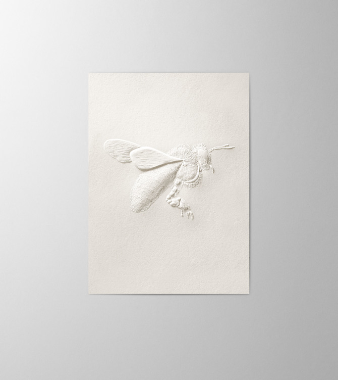 Hieronymus Easter Greetingcards Greeting Card Bee Cotton Shiny Cream A005756 A005756.jpg