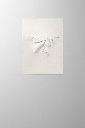 Hieronymus Easter Greetingcards Greeting Card Bee Cotton Shiny Cream A005756 A005756.jpg