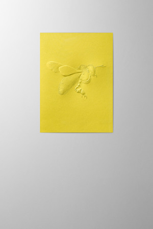 Hieronymus Greetingcards Easter Greeting Card Bee Lime A005757 A005757.jpg