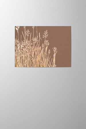 Hieronymus Greetingcards Greeting Card Meadow Marron A005761 A005761 A.jpg