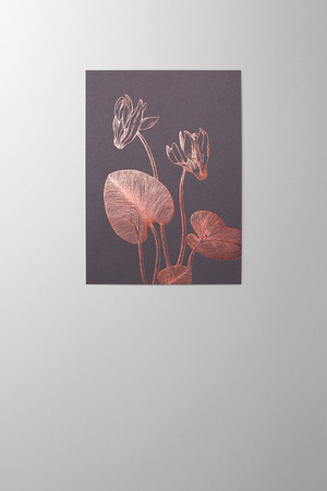 Hieronymus Condolence Greetingcards Greeting Card Cyclamen Blackberry A005768 