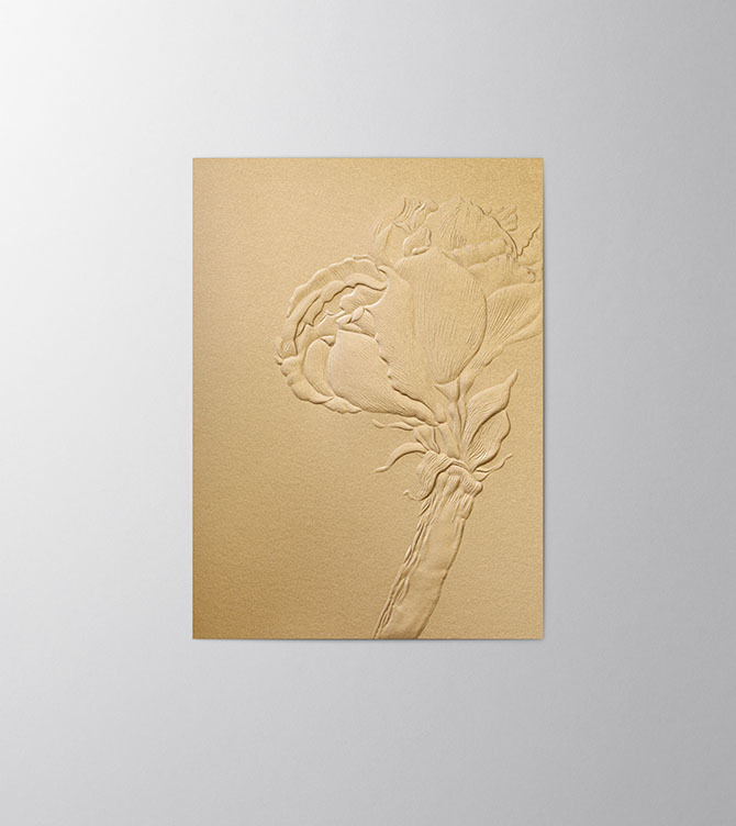 Hieronymus Christmas Greeting Card Amaryllis Gold A005794 