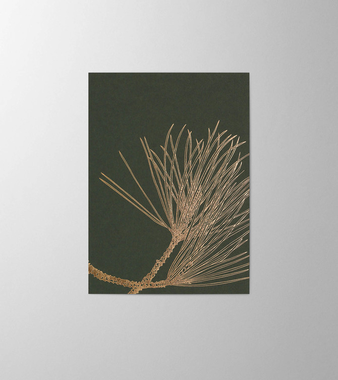 Hieronymus Greetingcards Christmas Greeting Card Pinus Nigra Dark Green A005796 A005796 A.jpg