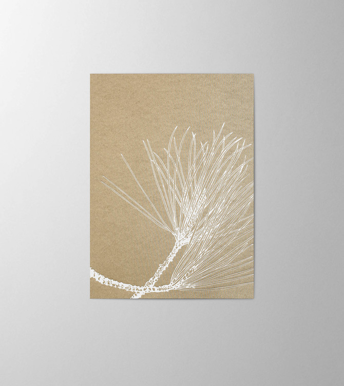 Hieronymus Christmas Greetingcards Greeting Card Pinus Nigra Light Gold A005798 A005798 A.jpg