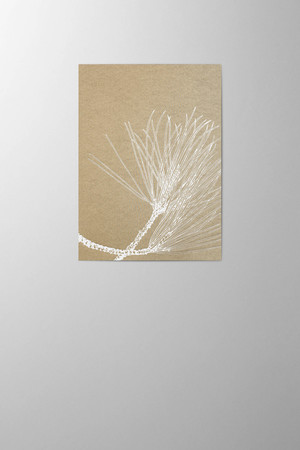 Hieronymus Christmas Greetingcards Greeting Card Pinus Nigra Light Gold A005798 A005798 A.jpg